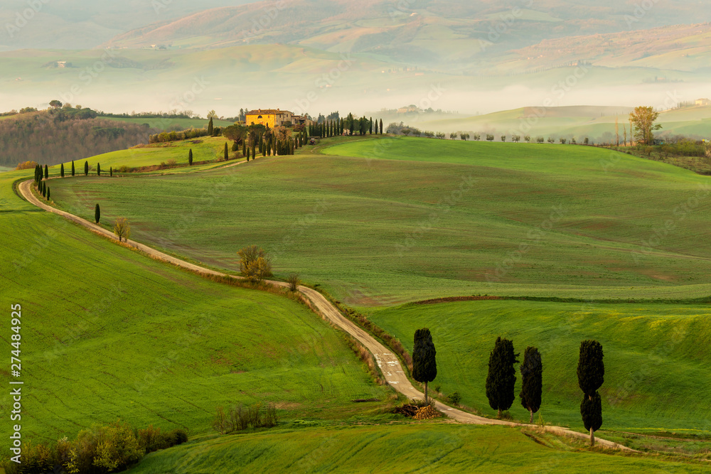 Fototapeta premium Cypress trees and green fields in the afternoon sun at Agriturismo Terrapille - Gladiator Villa in Tuscany