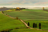 Cypress trees and green fields in the afternoon sun at Agriturismo Terrapille - Gladiator Villa in Tuscany