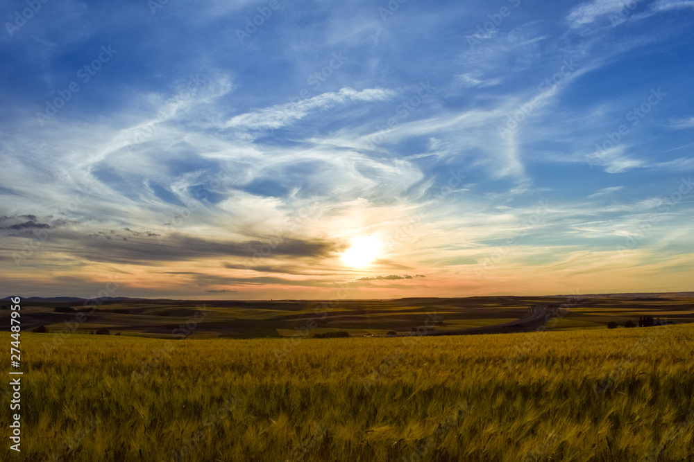 Colorful landscape of sunset in farmland. Freedom sensation