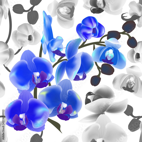 Beautiful  seamless pattern with Orchid flowers . Vector illustration. EPS 10