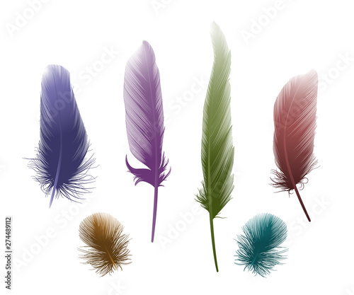 Set colored feathers. Vector illustration. EPS 10.