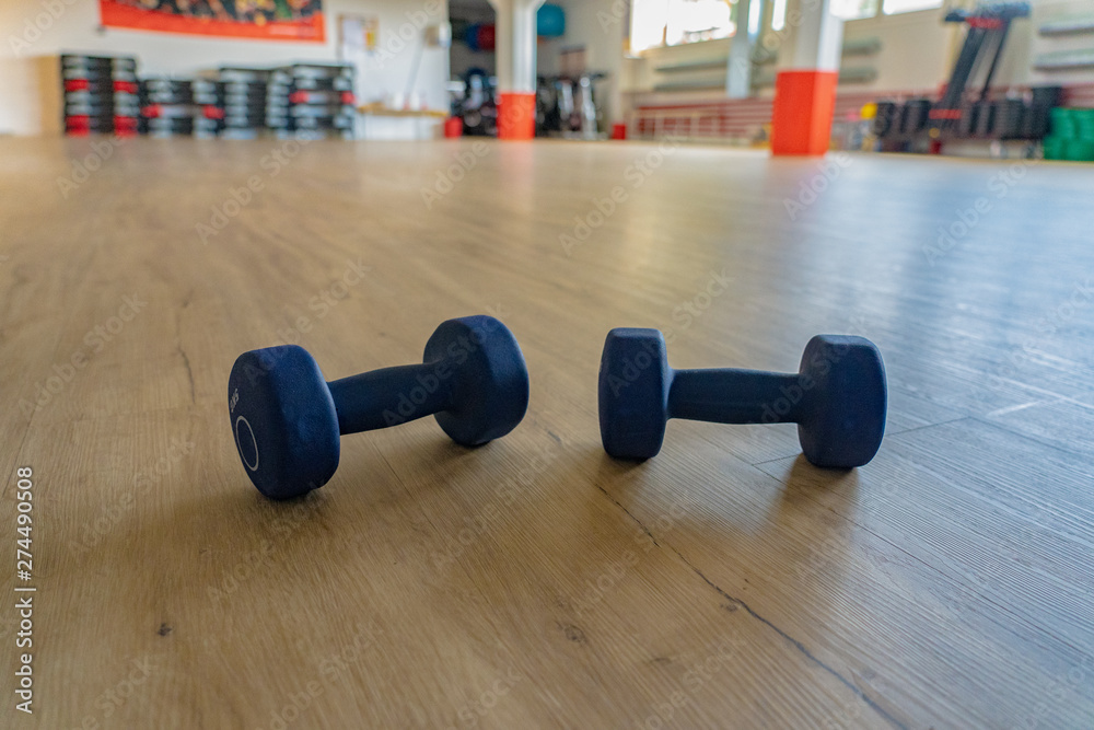 Two lilac dumbbells lying on the wooden floor of a gym hall. High angle view, close up, place for text. Two lilac dumbbells lying on the wooden floor of a gym hall. High angle view, close up, place for text.