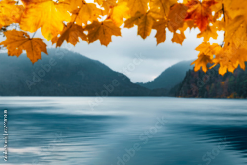 Yellow leaves frame and lake water. Out of focus autumn image