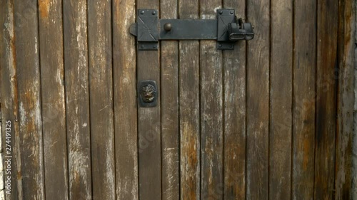 textural background, old door of wooden planks with vintage broken door handle in the form of a lion's head