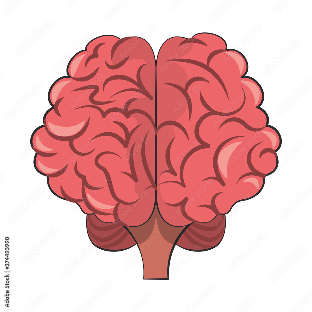 Fototapeta premium Human brain intelligence and creativity cartoons