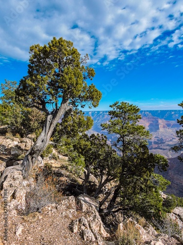 Sky blue background. Natural landscape. Beautiful nature landscape panorama. Grand canyon national park, arizona, usa.