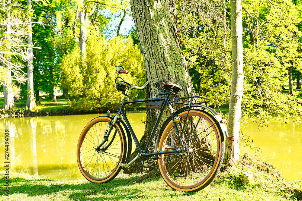  Vélo vintage adossé à un tronc d'arbre	