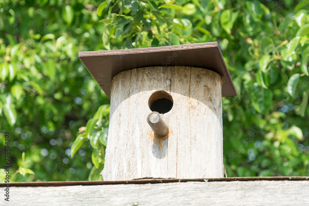 birdhouse. Wooden house for birds. Birdhouse on a background of green foliage.