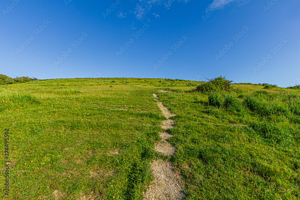 A view of a grassy green slope with a trail path leading to the summit under a majestic blue sky