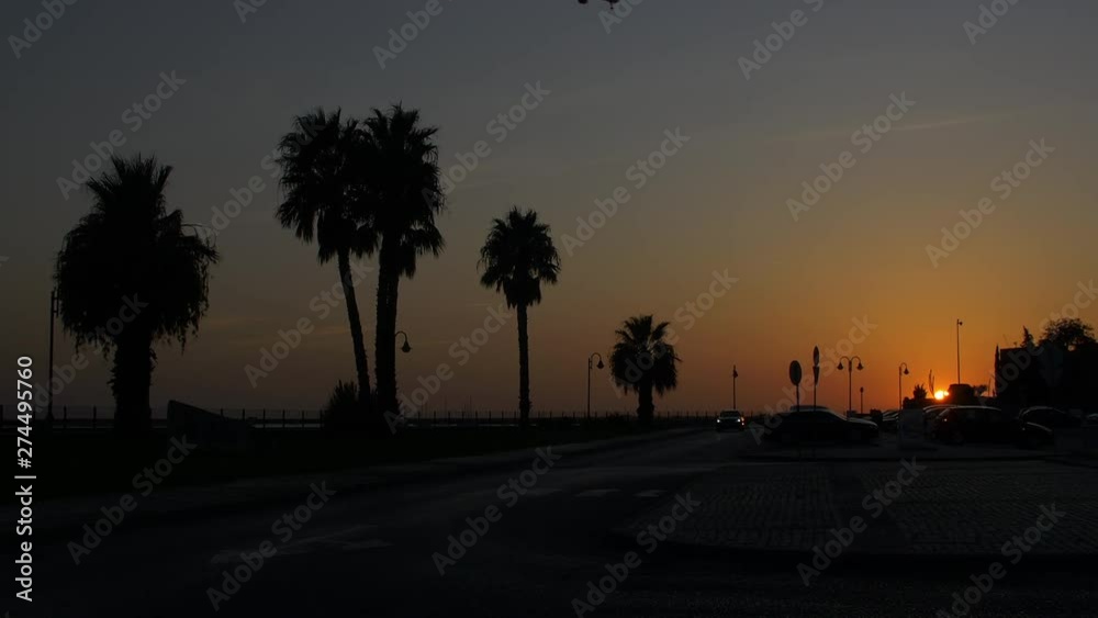 Classic sunset with palm trees and an airplane flying over a parking spot