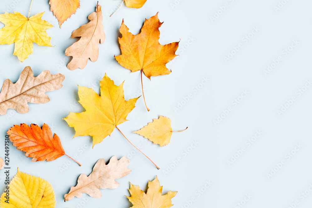 Fototapeta premium Autumn composition. Pattern made of autumn leaves. Flat lay, top view, copy space