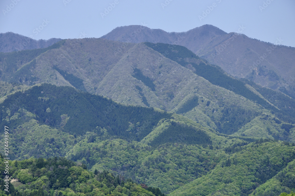 Obraz premium 菊花山から泣坂ノ頭