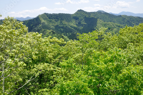 菊花山より九鬼山方面を望む