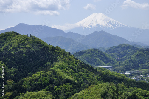 富士山展望