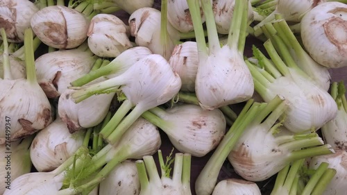 Organically grown fennel at the farmers market photo