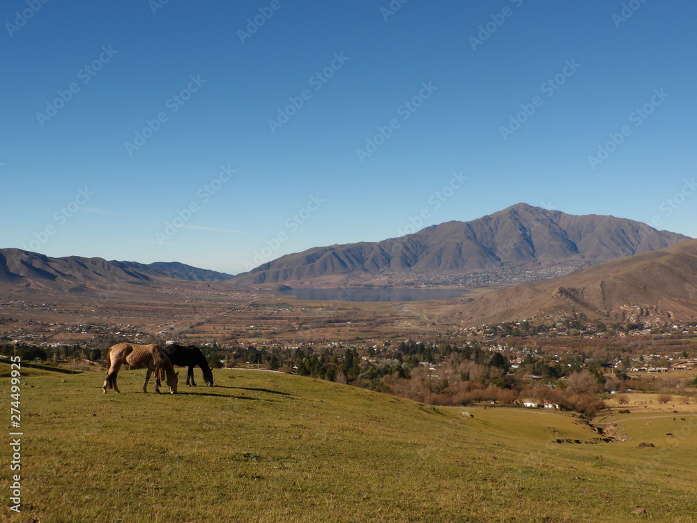 tafí del valle 1