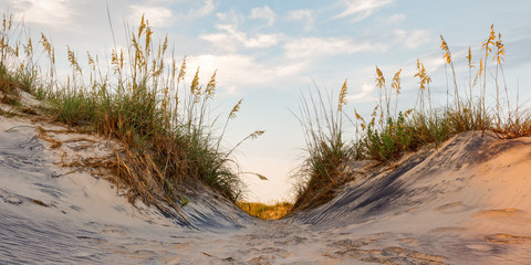 Leinwandbilder Dünen Sanddünen der Outer Banks Küste  © rsgphoto