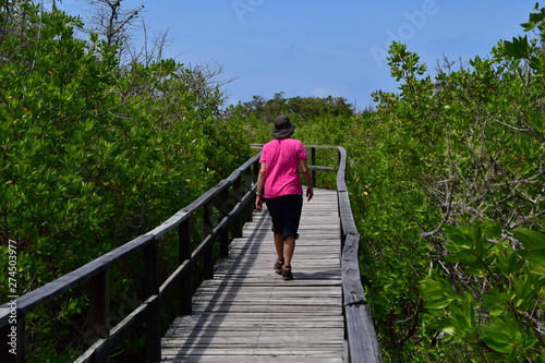 paisaje, Galápagos