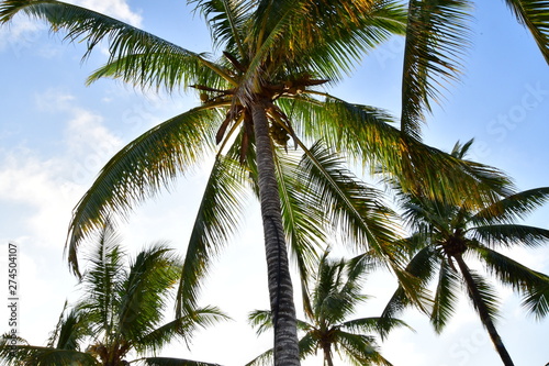 Wallpaper Mural paisaje, Galápagos Torontodigital.ca