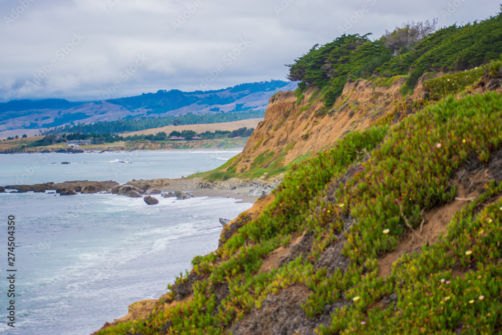 Fototapeta premium coast of the sea