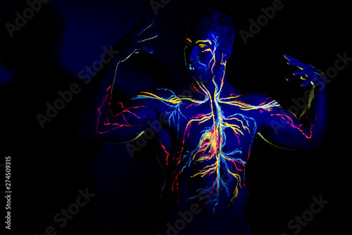 Fototapeta Naklejka Na Ścianę i Meble -  UV patterns body art of the circulatory system on a man's body. On the chest of a muscular athlete, veins and arteries are drawn with fluorescent dyes. The bodybuilder straightened the biceps