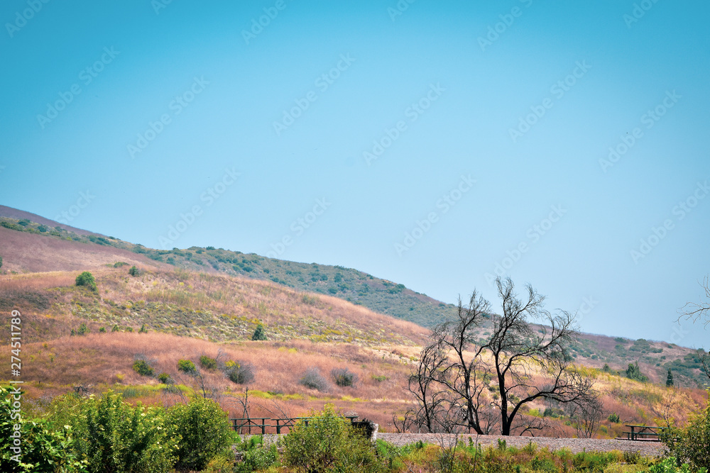 Fototapeta premium California Hills