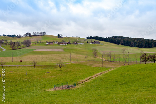 Grassland  one of the typical scenes in Switzerland