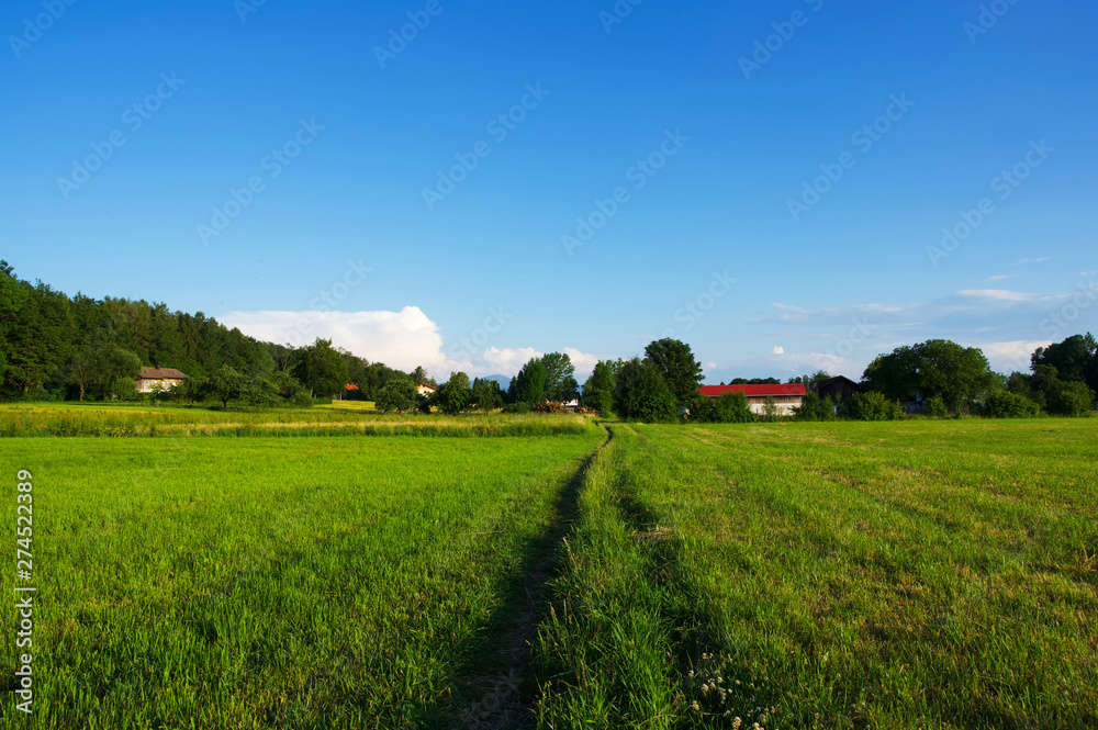 Ländliche Sommerlandschaft in Süddeutschland während der golenden Stunde