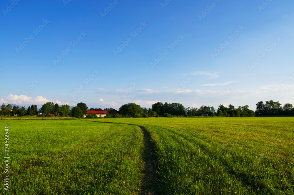 Ländliche Sommerlandschaft in Süddeutschland während der golenden Stunde