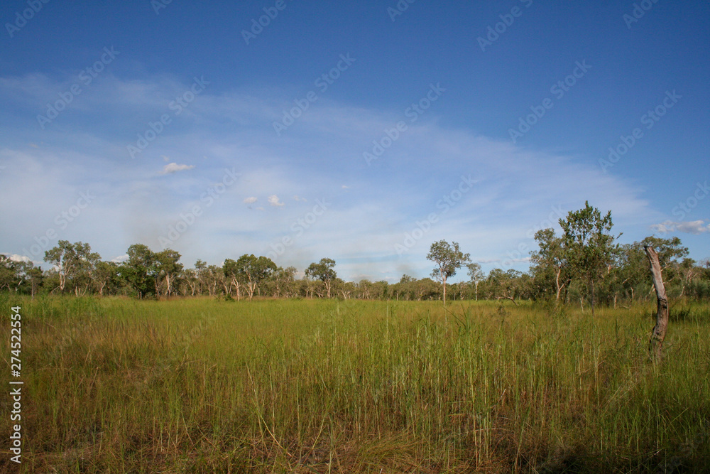 Grasslands under blue sky in Western Australia Outback Grasslands under blue sky in Western Australia Outback