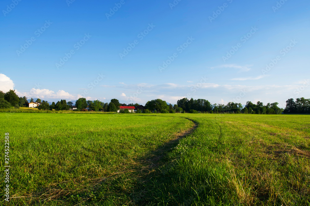 Ländliche Sommerlandschaft in Süddeutschland während der golenden Stunde Ländliche Sommerlandschaft in Süddeutschland während der golenden Stunde