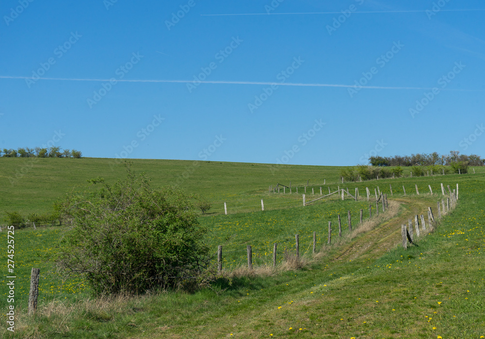 Agriculture path with fences and cloudless sky