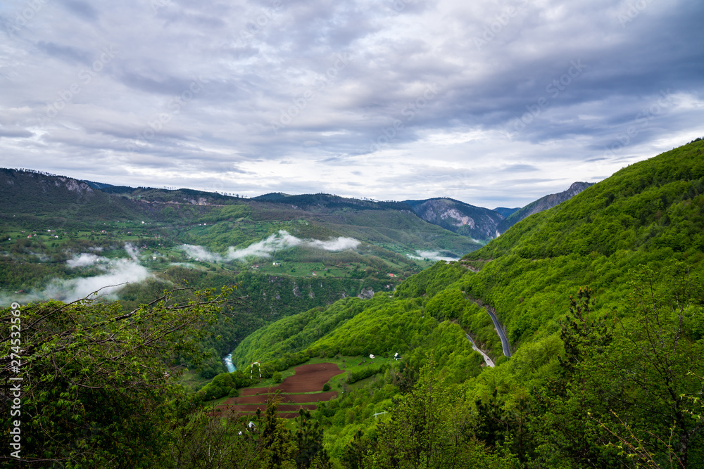Montenegro, Impressive view over green wooded rocks of famous tara canyon nature landscape formed by tara river from above