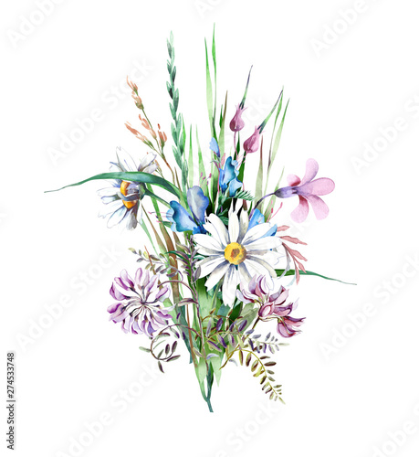 Field Flowers Bouquet. Watercolor Illustration