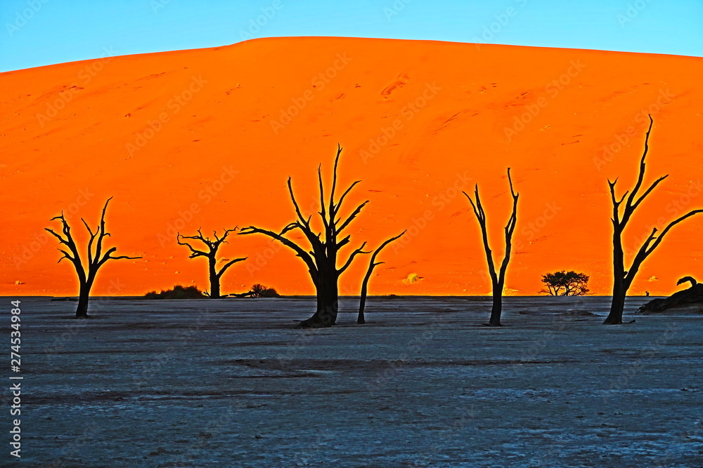 ナミブ砂漠 Deadvlei Namibia