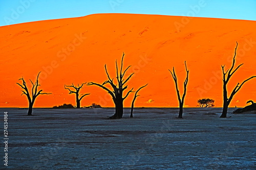 ナミブ砂漠 Deadvlei Namibia © satono