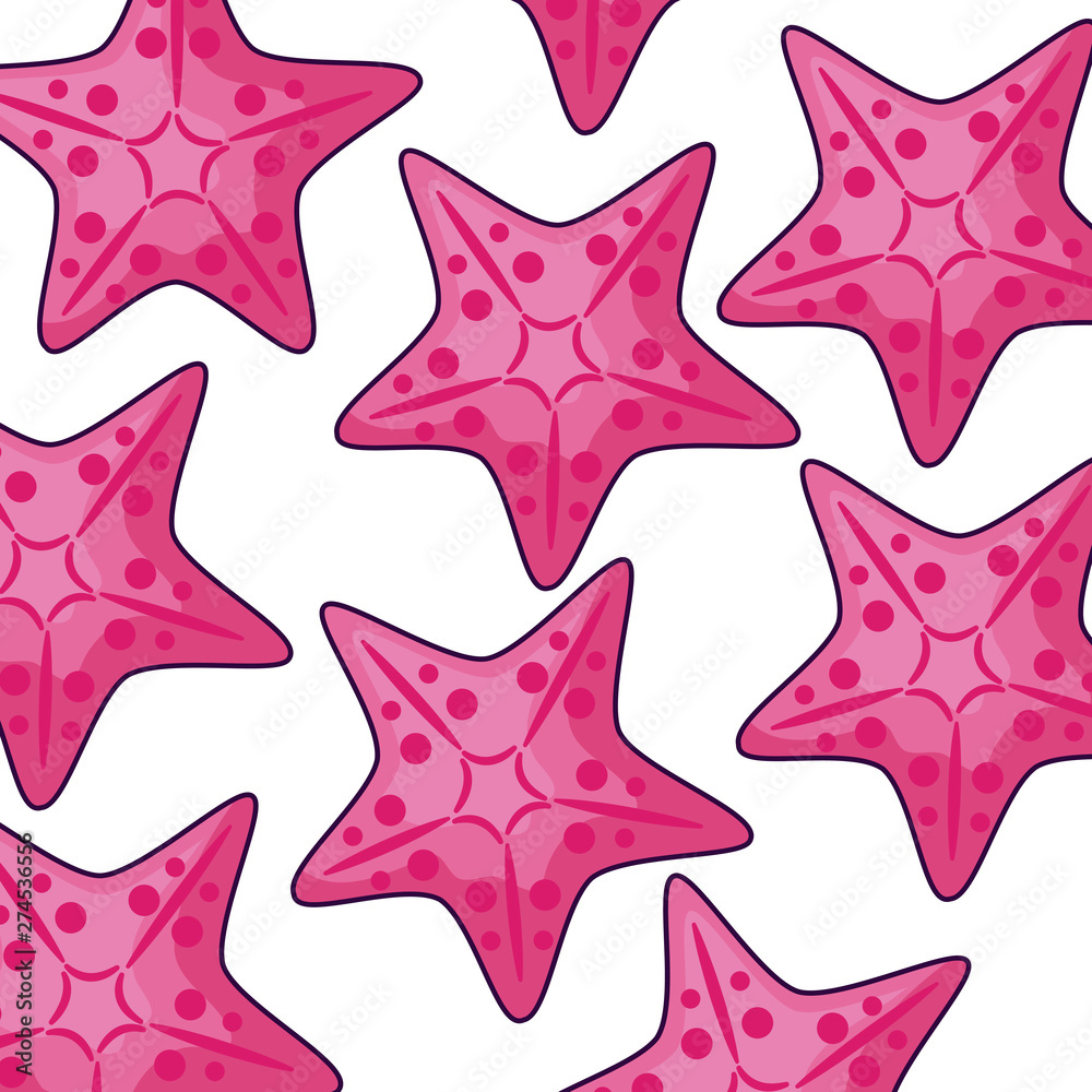 Obraz premium pattern tropical of starfish animals