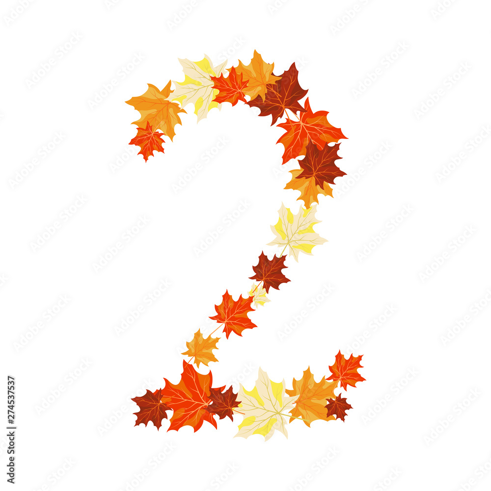 Fototapeta premium Autumn Maples Leaves Letter