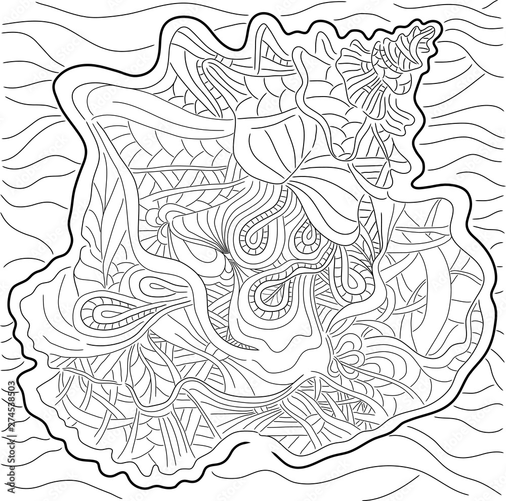 ornamental shell ornamental shell