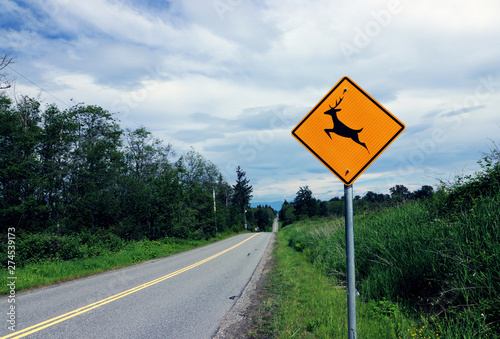 Deer Crossing sign on rural road on a cloudy day in Surrey, BC Canada.