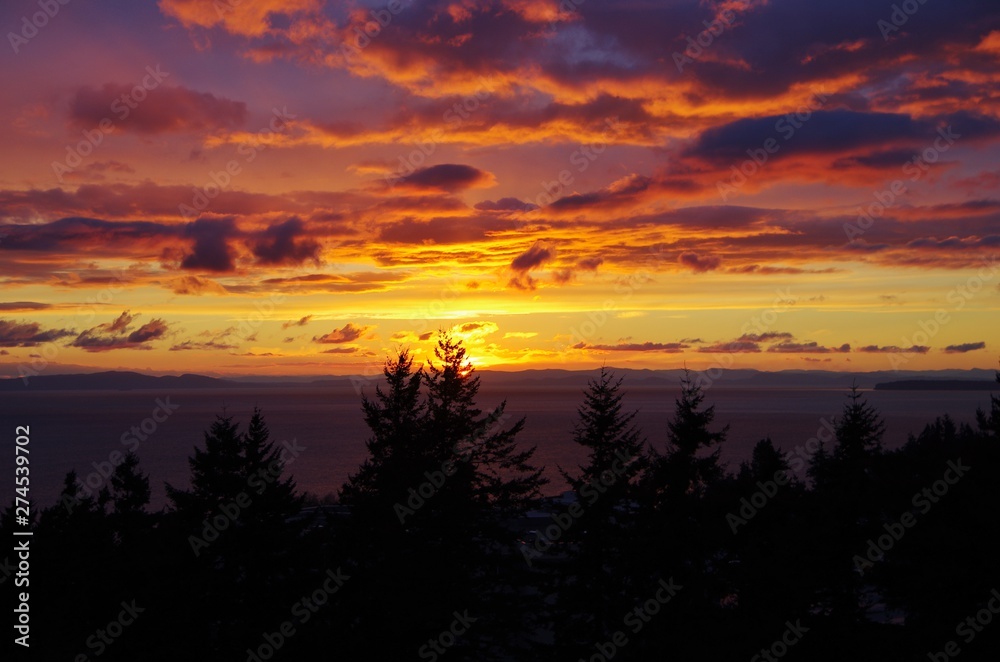Beautiful view of a vibrant orange sunset in White Rock, BC Canada, overlooking the ocean and with silhouette of trees in foreground.