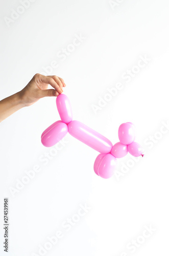 Balloon in the form of a dog in a female hand.