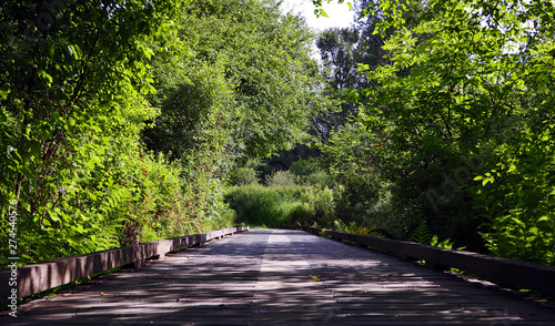 Low view perspective of straight boardwalk in Tynehead Regional Park in Surrey BC, Canada, on a sunny, spring morning. 