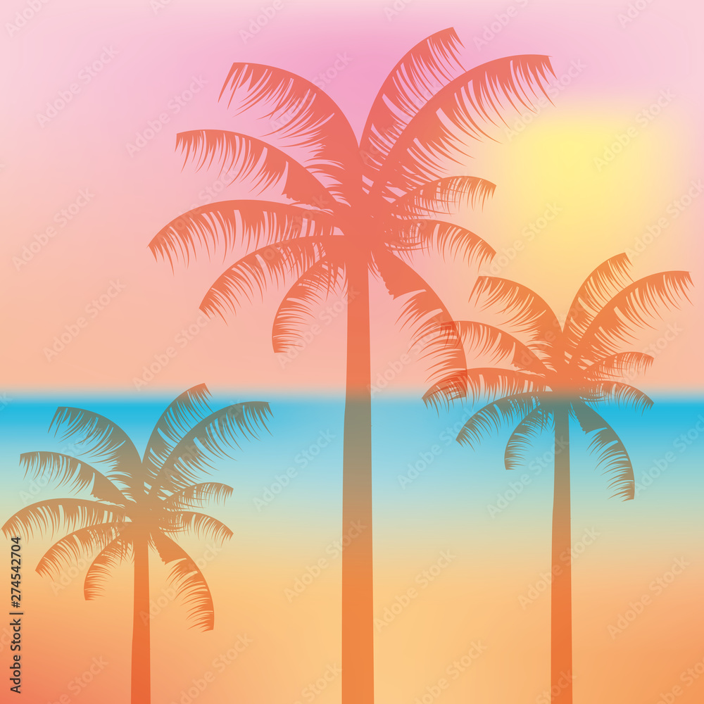 hello summer blur background colors palms