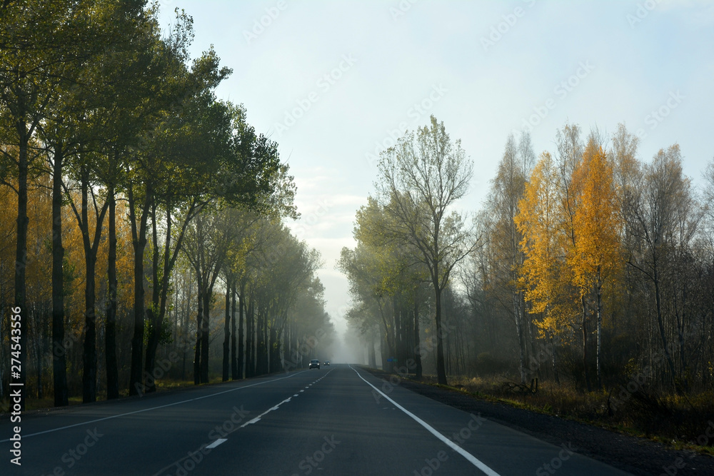 Highway in a foggy morning with cars driving towards.