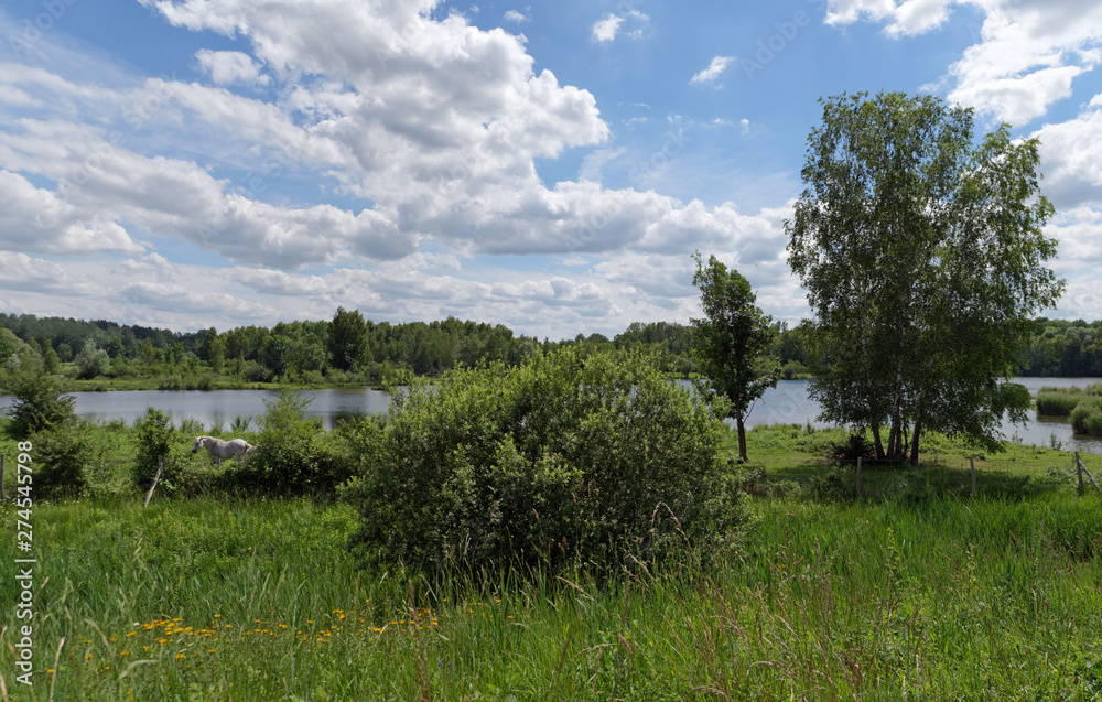 Episy swamp nature reserve in the French Gâtinais regional nature par