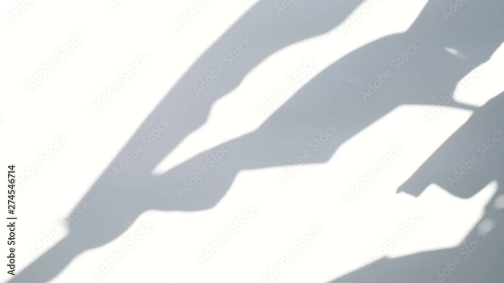 Close up silhouette shadow of banana leaves motion by natural wind on white wall background. Close up silhouette shadow of banana leaves motion by natural wind on white wall background.