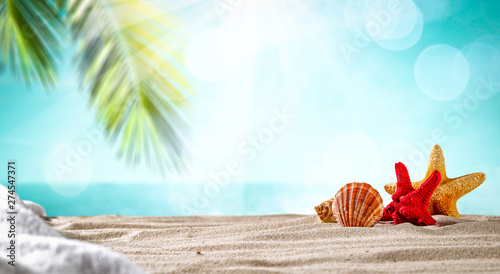 Summer background of beach with shells on sand and summer sunny day. 
