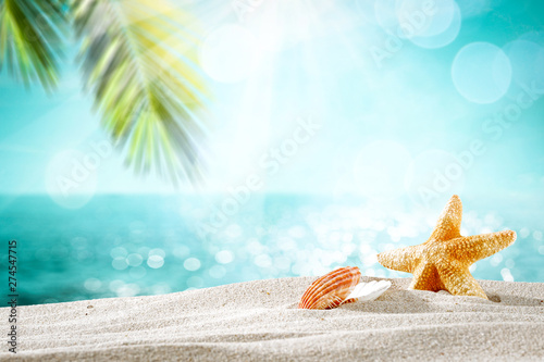 Fototapeta Naklejka Na Ścianę i Meble -  Summer background of beach with shells on sand and summer sunny day. 