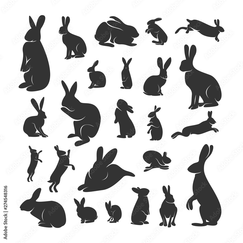 Set of Rabbit Design Vector. Silhouette of Rabbit. Vector illustration